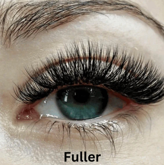 Nour Magnetic Lashes
