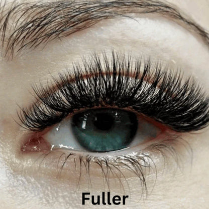 Nour Magnetic Lashes